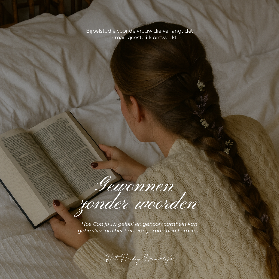 Gewonnen zonder Woorden e-book